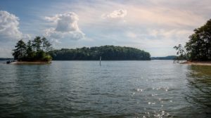 Finding Unique Things To Do In Gainesville