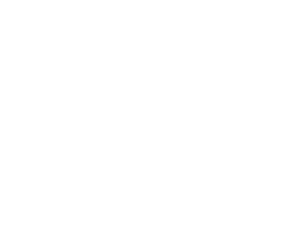 Atlanta Hawks Basketball Club